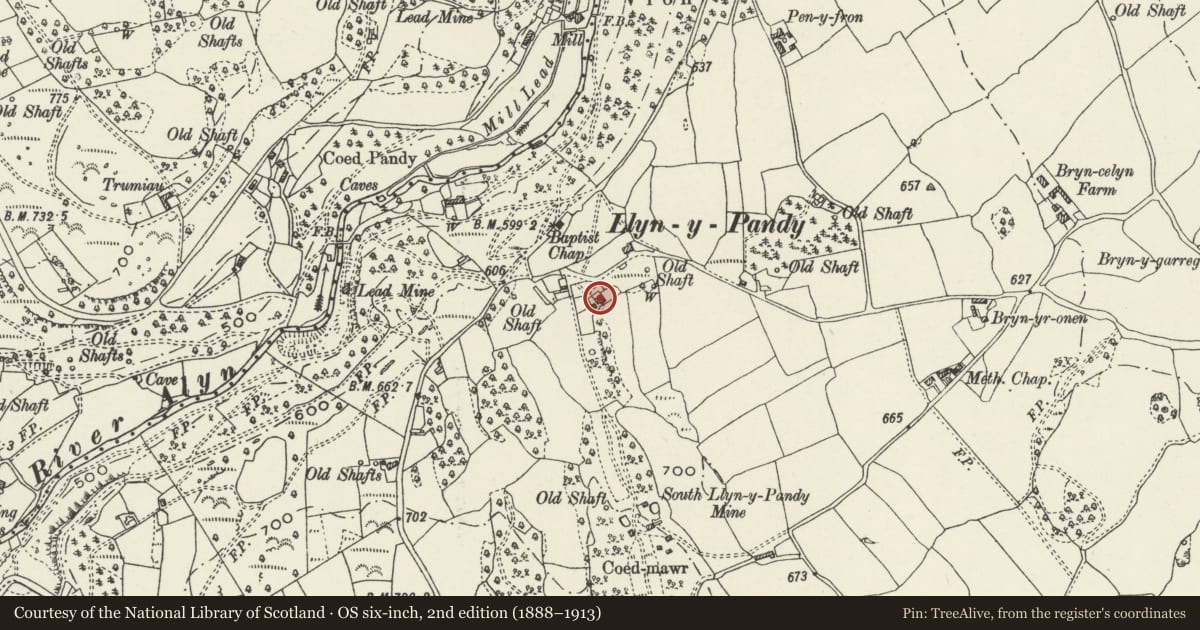 Ordnance Survey six-inch map, 2nd edition (1888–1913) covering the location of Bryn-Gwyn (including front Garden walls and stone outbuildings, Gwernaffield with Pantmwyn, Flintshire, with a pin at the register's coordinates