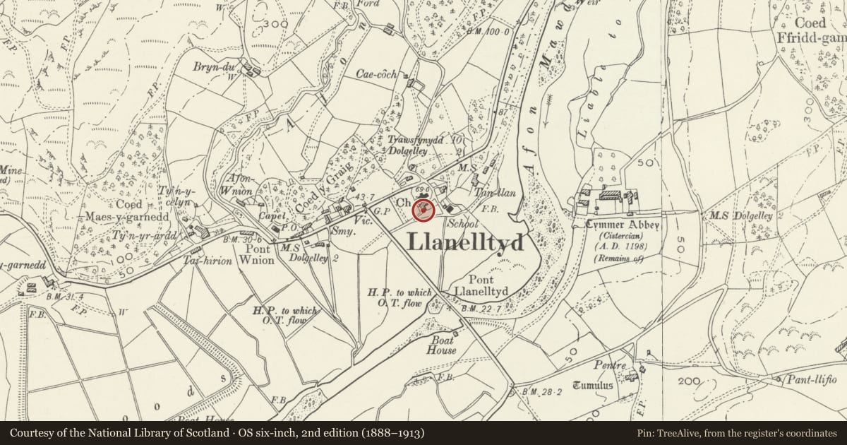 Ordnance Survey six-inch map, 2nd edition (1888–1913) covering the location of Tynllan, Llanelltyd, Gwynedd, with a pin at the register's coordinates