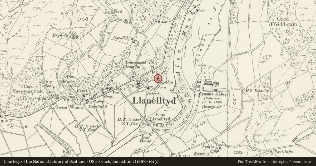 Ordnance Survey six-inch map, 2nd edition (1888–1913) covering the location of Tan Llan, Llanelltyd, Gwynedd, with a pin at the register's coordinates
