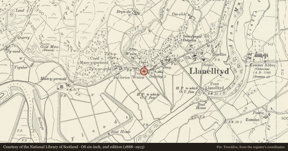 Ordnance Survey six-inch map, 2nd edition (1888–1913) covering the location of Pont Wnin, Llanelltyd, Gwynedd, with a pin at the register's coordinates