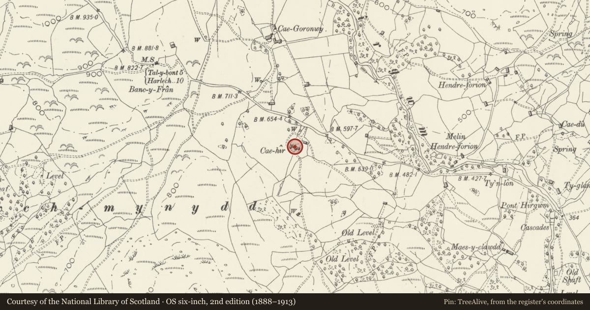 Ordnance Survey six-inch map, 2nd edition (1888–1913) covering the location of Cae Hir Farmhouse (including attached Byre), Llanelltyd, Gwynedd, with a pin at the register's coordinates