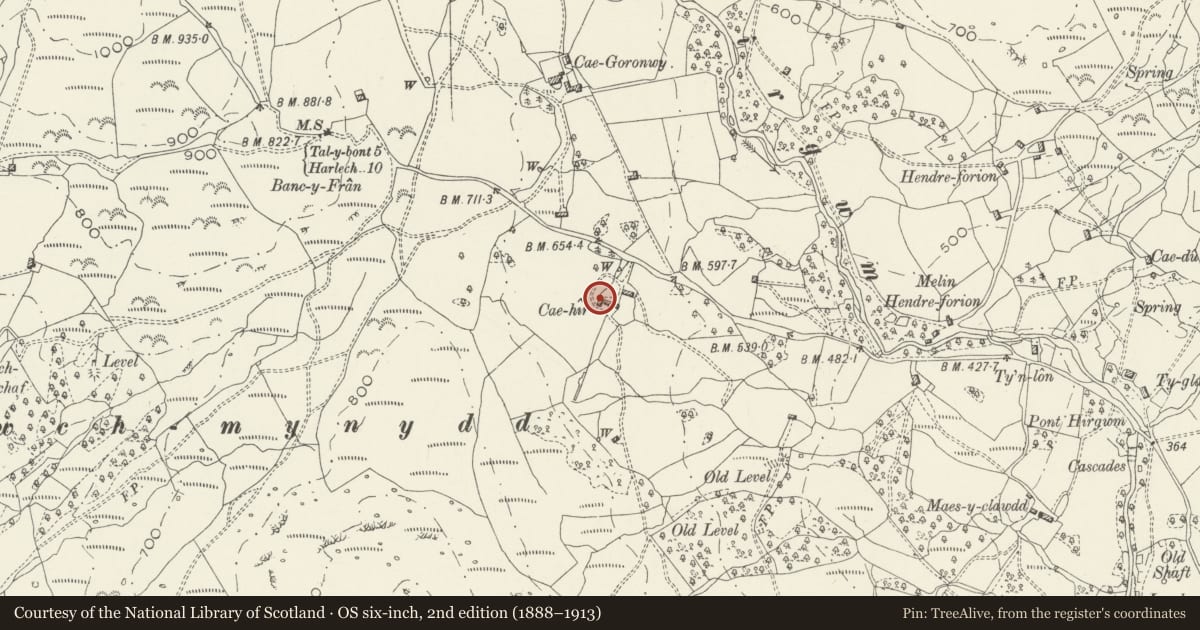 Ordnance Survey six-inch map, 2nd edition (1888–1913) covering the location of Barn at Cae Hir, Llanelltyd, Gwynedd, with a pin at the register's coordinates