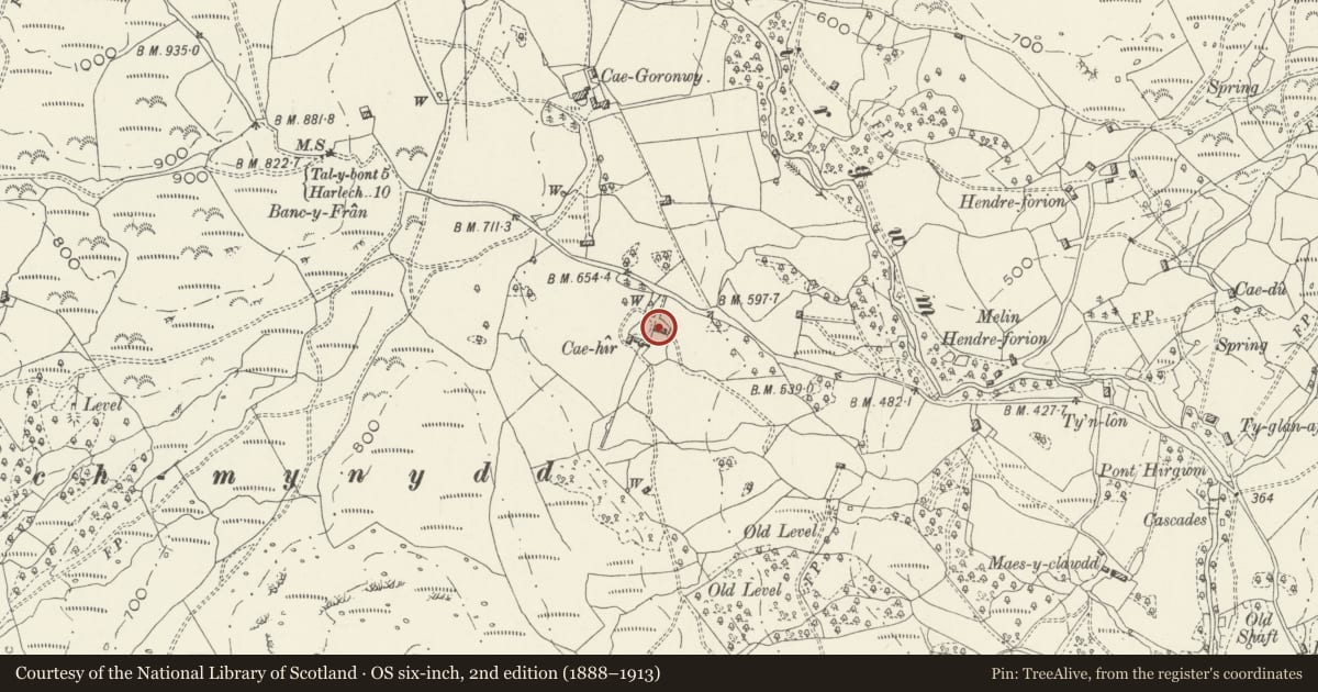 Ordnance Survey six-inch map, 2nd edition (1888–1913) covering the location of Byre Range at Cae Hir, Llanelltyd, Gwynedd, with a pin at the register's coordinates