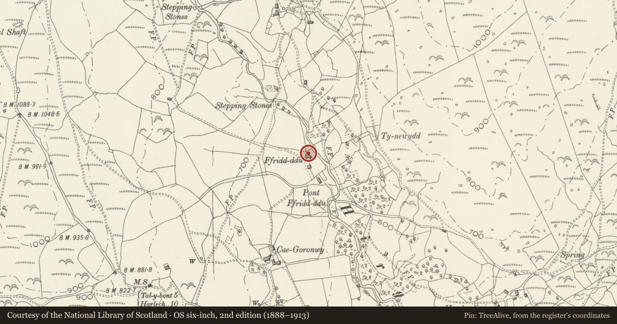 Ordnance Survey six-inch map, 2nd edition (1888–1913) covering the location of Ffridd-Ddu, Llanelltyd, Gwynedd, with a pin at the register's coordinates