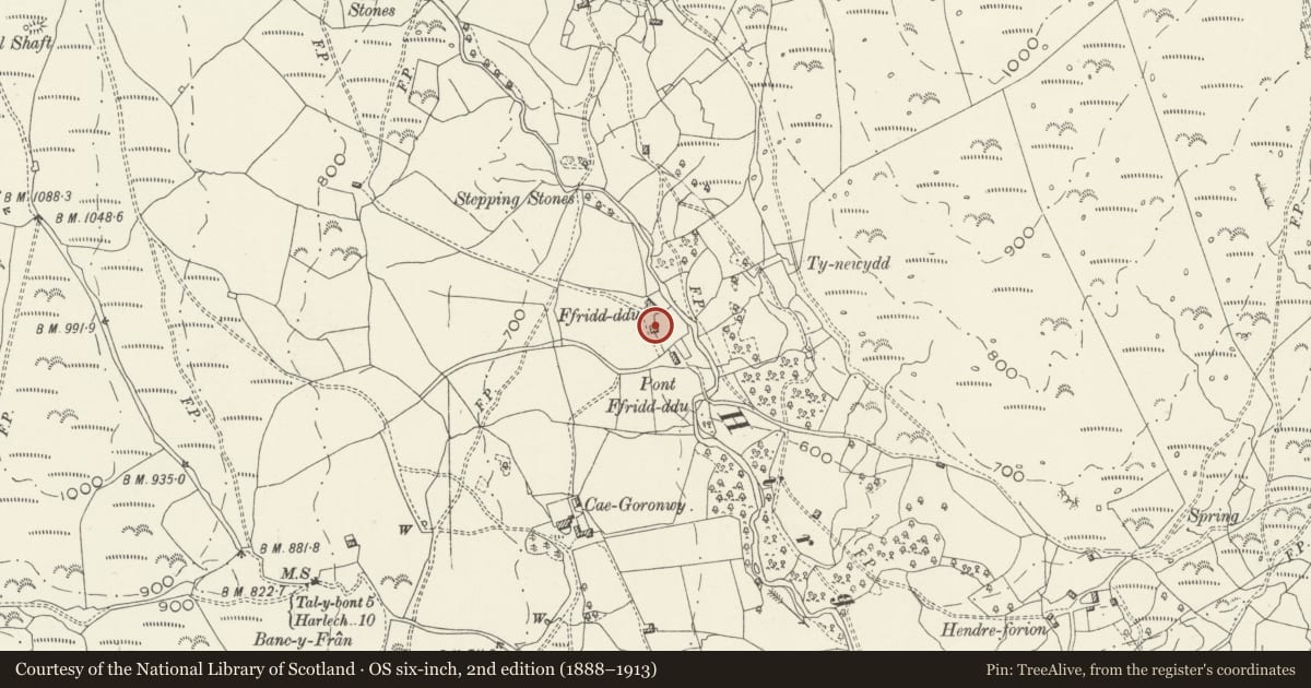 Ordnance Survey six-inch map, 2nd edition (1888–1913) covering the location of Barn at Ffridd-Ddu, Llanelltyd, Gwynedd, with a pin at the register's coordinates