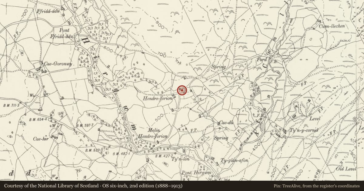 Ordnance Survey six-inch map, 2nd edition (1888–1913) covering the location of Former Dwelling immediately to S of Hendre Forion, Llanelltyd, Gwynedd, with a pin at the register's coordinates