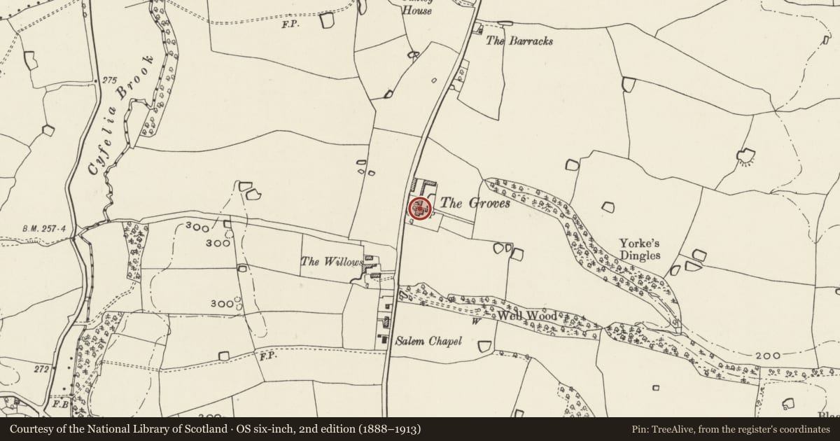 Ordnance Survey six-inch map, 2nd edition (1888–1913) covering the location of The Groves, Marchwiel, Wrexham, with a pin at the register's coordinates