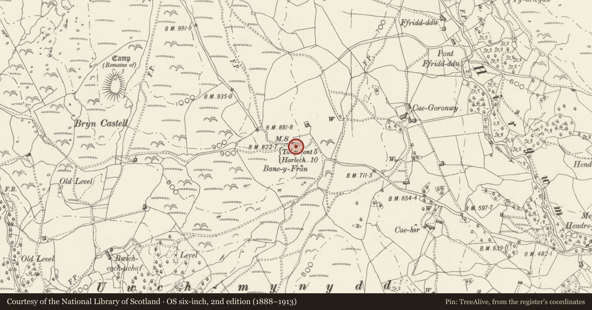 Ordnance Survey six-inch map, 2nd edition (1888–1913) covering the location of Milestone, Llanelltyd, Gwynedd, with a pin at the register's coordinates