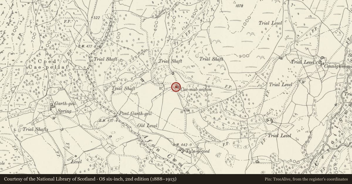 Ordnance Survey six-inch map, 2nd edition (1888–1913) covering the location of Cae-Mab-Seifion, Llanelltyd, Gwynedd, with a pin at the register's coordinates