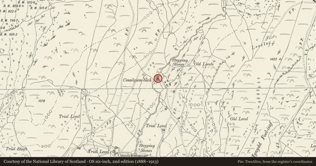 Ordnance Survey six-inch map, 2nd edition (1888–1913) covering the location of Cesailgwm-Bach, Llanelltyd, Gwynedd, with a pin at the register's coordinates