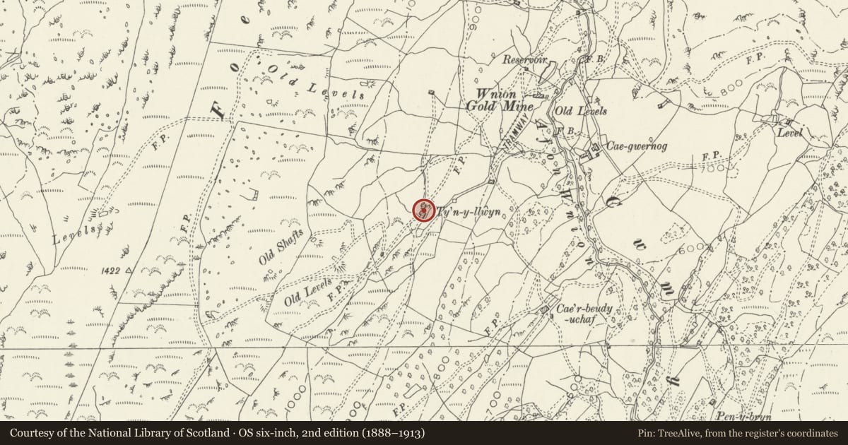 Ordnance Survey six-inch map, 2nd edition (1888–1913) covering the location of Tyn-y-Llwyn, Llanelltyd, Gwynedd, with a pin at the register's coordinates