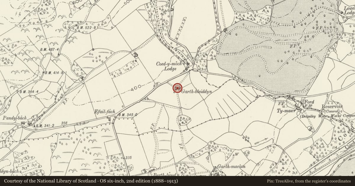 Ordnance Survey six-inch map, 2nd edition (1888–1913) covering the location of Garth-Bleiddyn, Llanelltyd, Gwynedd, with a pin at the register's coordinates