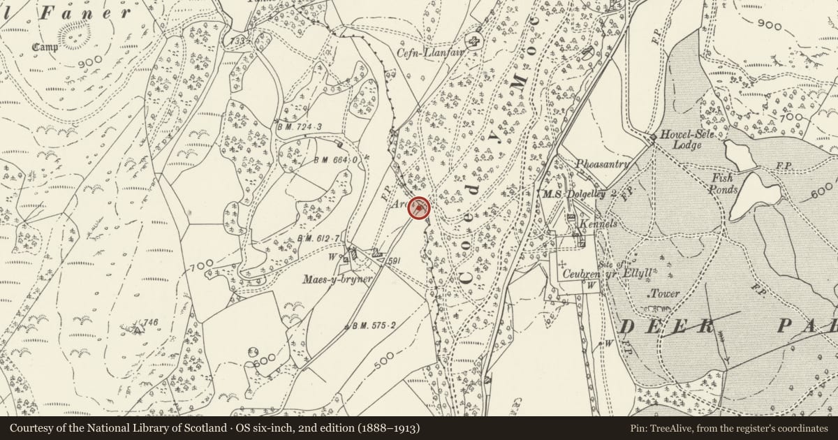 Ordnance Survey six-inch map, 2nd edition (1888–1913) covering the location of Arch at Maes-y-Bryner Isaf, Llanelltyd, Gwynedd, with a pin at the register's coordinates