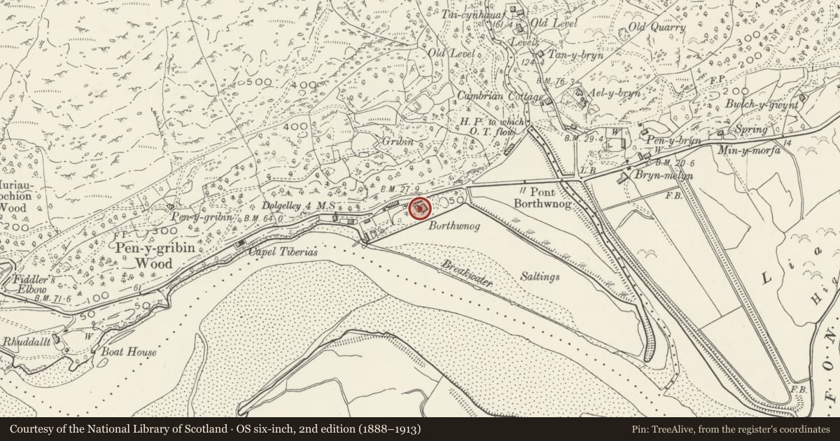 Ordnance Survey six-inch map, 2nd edition (1888–1913) covering the location of Borthwnog Hall Hotel, Llanelltyd, Gwynedd, with a pin at the register's coordinates