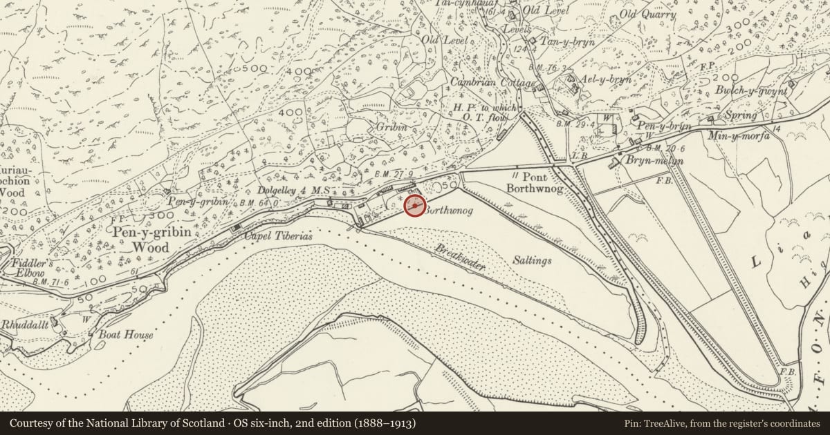 Ordnance Survey six-inch map, 2nd edition (1888–1913) covering the location of Terrace Wall at Borthwnog Hall Hotel, Llanelltyd, Gwynedd, with a pin at the register's coordinates