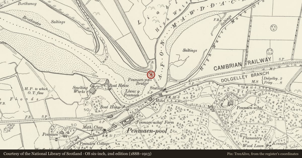 Ordnance Survey six-inch map, 2nd edition (1888–1913) covering the location of Penmaenpool Bridge (partly in Dolgellau Community), Llanelltyd, Gwynedd, with a pin at the register's coordinates