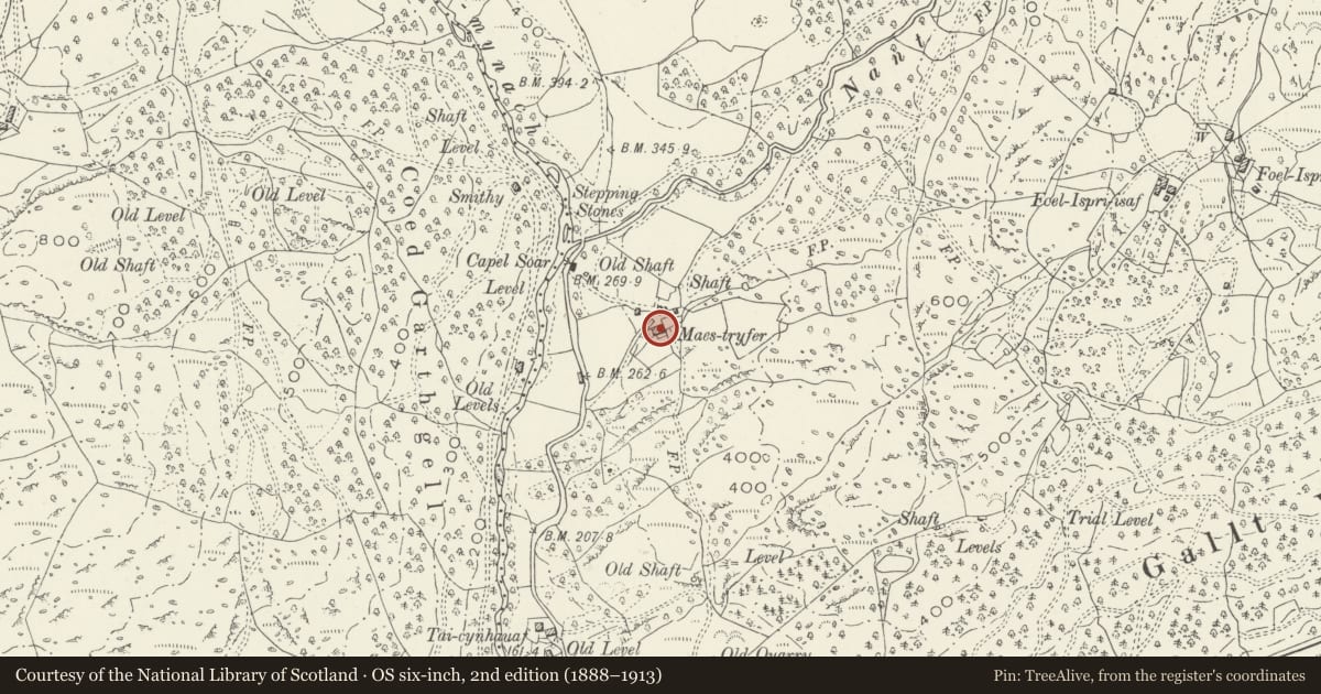 Ordnance Survey six-inch map, 2nd edition (1888–1913) covering the location of Maestryfer, Llanelltyd, Gwynedd, with a pin at the register's coordinates