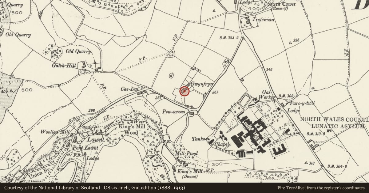 Ordnance Survey six-inch map, 2nd edition (1888–1913) covering the location of Academic Unit and Gwynfryn Wards at the North Wales Hospital, Denbigh, Denbighshire, with a pin at the register's coordinates