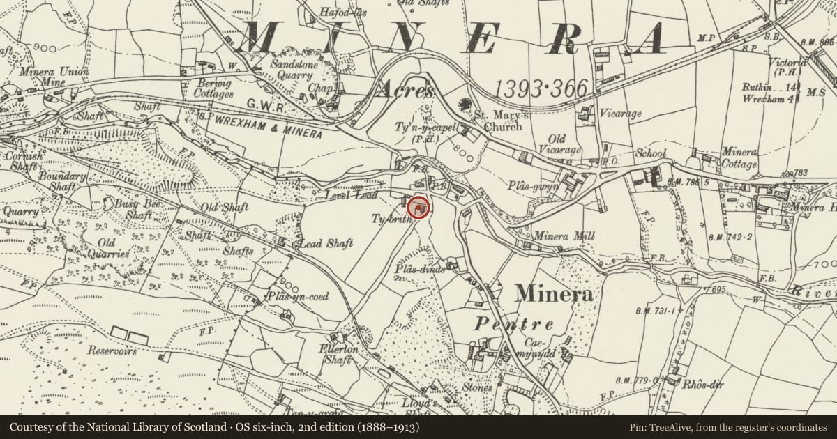 Ordnance Survey six-inch map, 2nd edition (1888–1913) covering the location of Ty Brith, Minera, Wrexham, with a pin at the register's coordinates