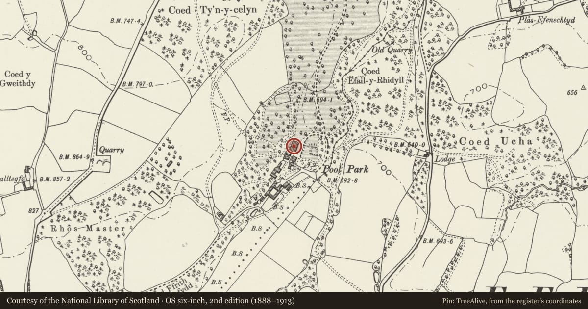 Ordnance Survey six-inch map, 2nd edition (1888–1913) covering the location of Pool Park, Efenechtyd, Denbighshire, with a pin at the register's coordinates