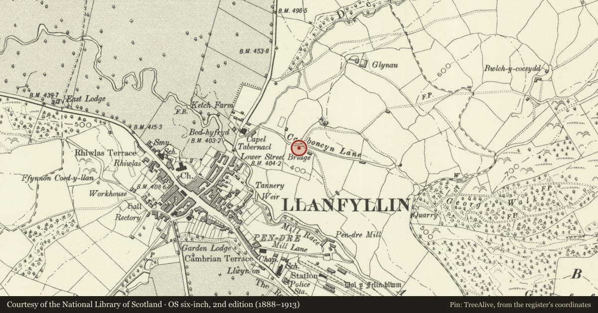 Ordnance Survey six-inch map, 2nd edition (1888–1913) covering the location of Villa Norge, Llanfyllin, Powys, with a pin at the register's coordinates