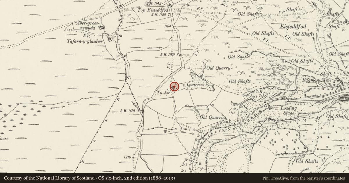 Ordnance Survey six-inch map, 2nd edition (1888–1913) covering the location of Ty Hir, Minera, Wrexham, with a pin at the register's coordinates
