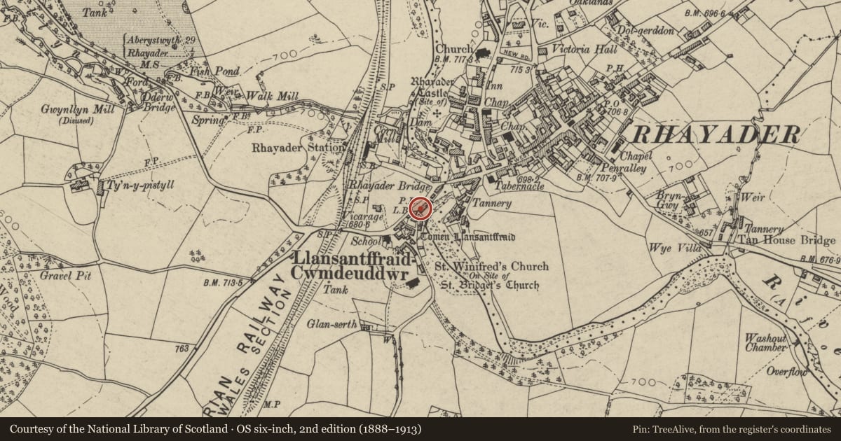 Ordnance Survey six-inch map, 2nd edition (1888–1913) covering the location of (3) Group of Houses, Rhayader, Powys, with a pin at the register's coordinates