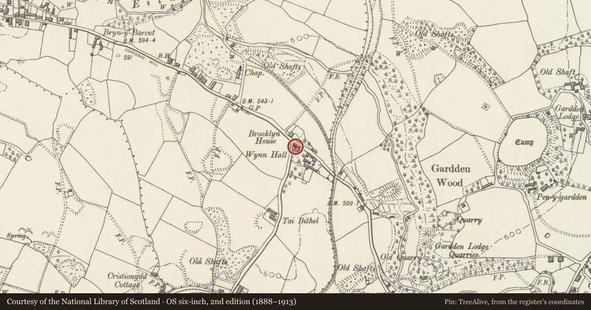Ordnance Survey six-inch map, 2nd edition (1888–1913) covering the location of Wynn Hall, Penycae, Wrexham, with a pin at the register's coordinates