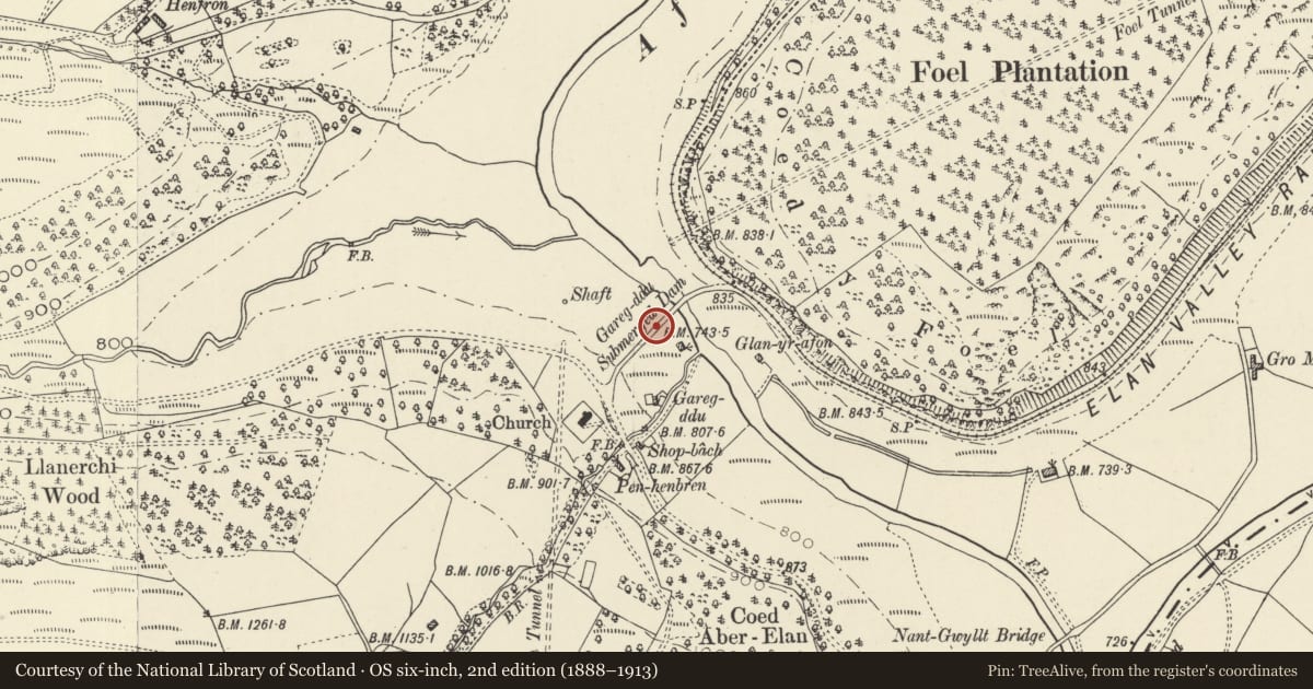 Ordnance Survey six-inch map, 2nd edition (1888–1913) covering the location of Carreg Ddu Viaduct and Submerged Dam, Rhayader, Powys, with a pin at the register's coordinates
