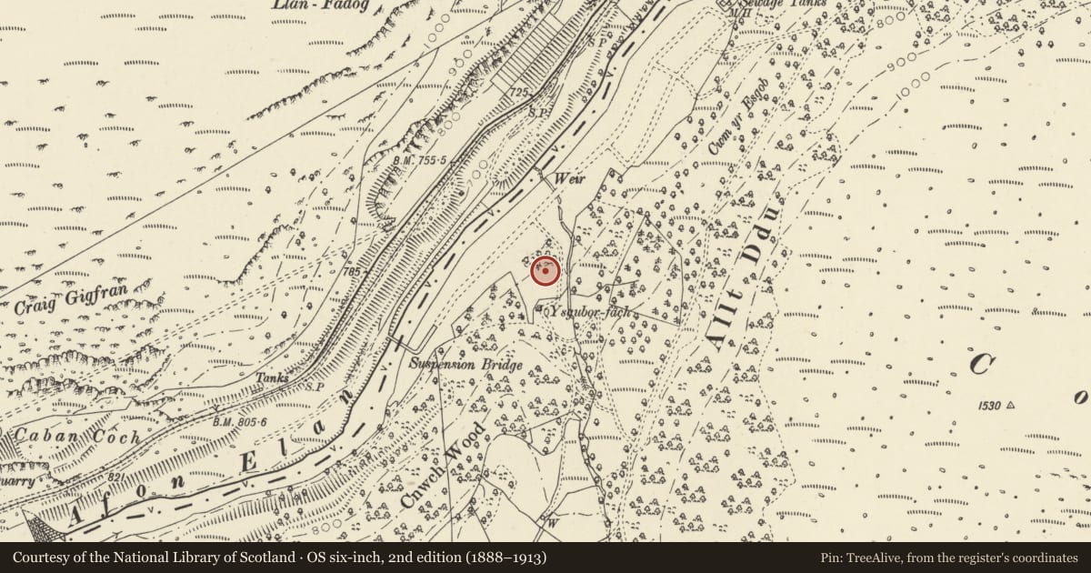 Ordnance Survey six-inch map, 2nd edition (1888–1913) covering the location of Elan Valley Lodge, Rhayader, Powys, with a pin at the register's coordinates