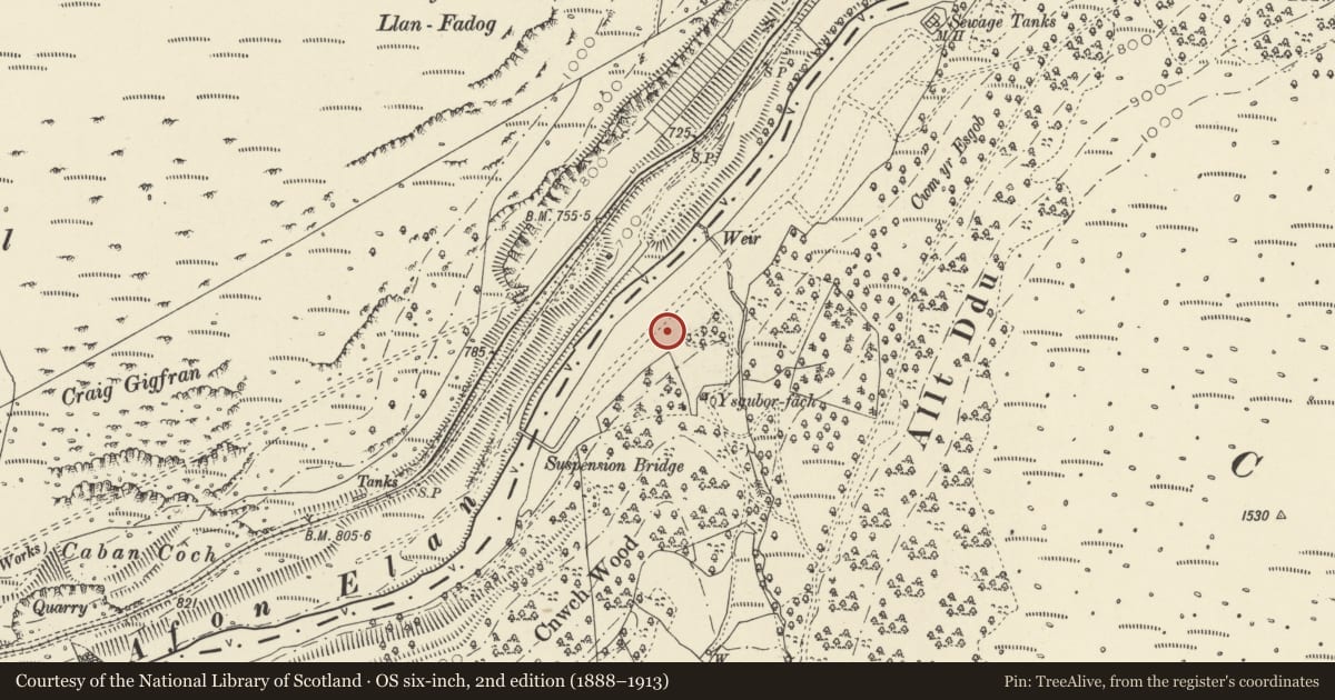 Ordnance Survey six-inch map, 2nd edition (1888–1913) covering the location of Estate Office including House to rear, Rhayader, Powys, with a pin at the register's coordinates