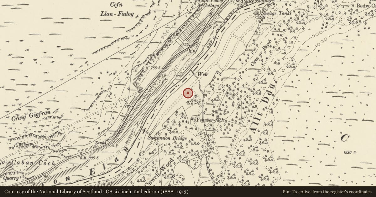 Ordnance Survey six-inch map, 2nd edition (1888–1913) covering the location of Shelter and Fountain, Rhayader, Powys, with a pin at the register's coordinates