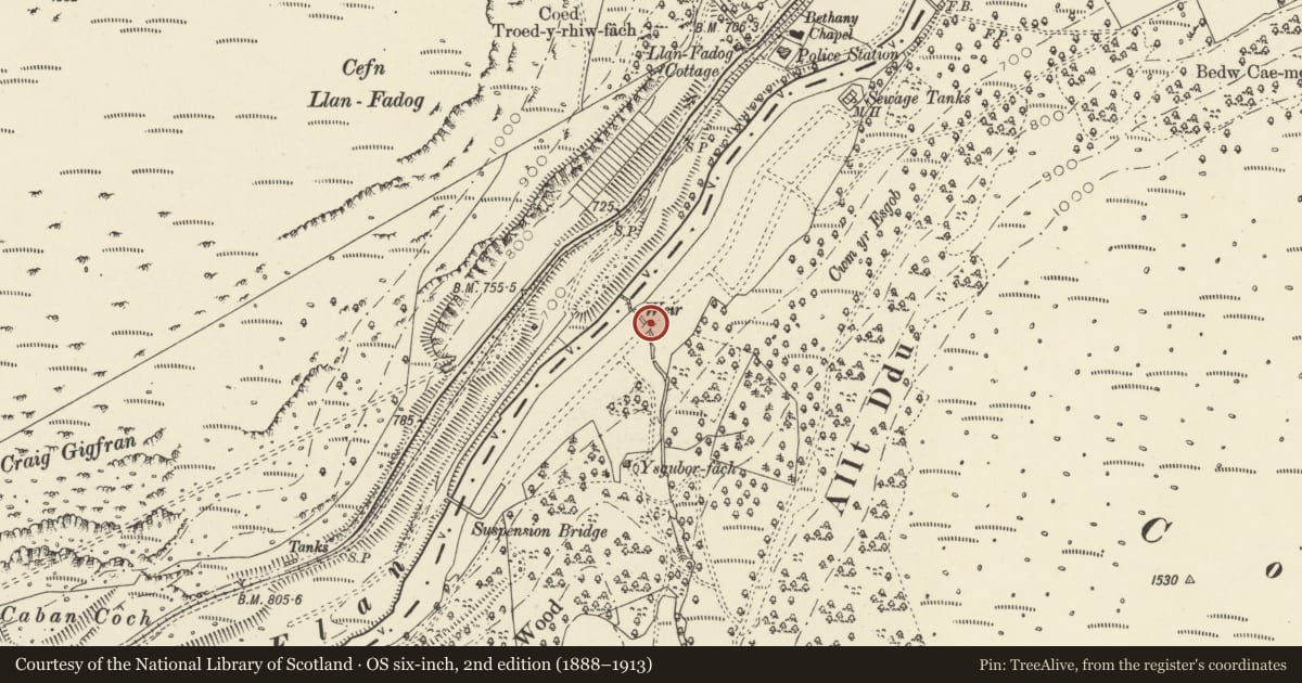 Ordnance Survey six-inch map, 2nd edition (1888–1913) covering the location of Small Stone Bridge, Rhayader, Powys, with a pin at the register's coordinates