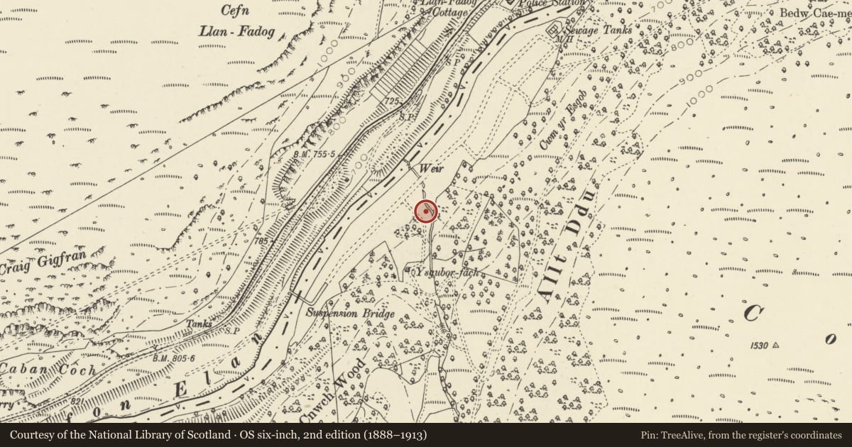 Ordnance Survey six-inch map, 2nd edition (1888–1913) covering the location of No 1, Rhayader, Powys, with a pin at the register's coordinates