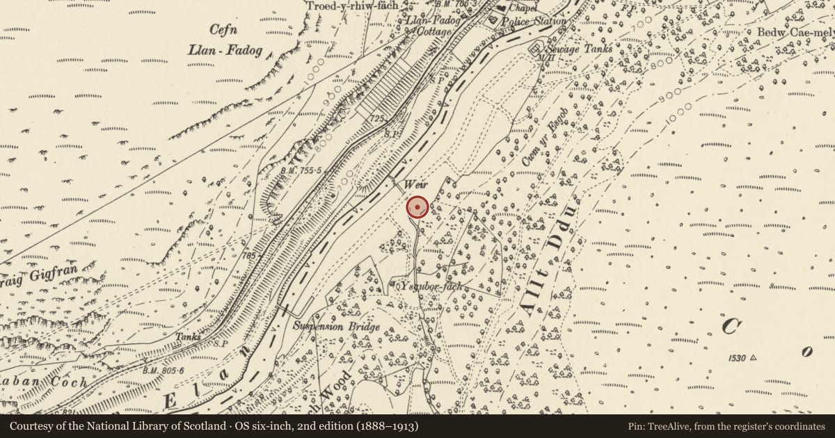 Ordnance Survey six-inch map, 2nd edition (1888–1913) covering the location of No 2, Rhayader, Powys, with a pin at the register's coordinates