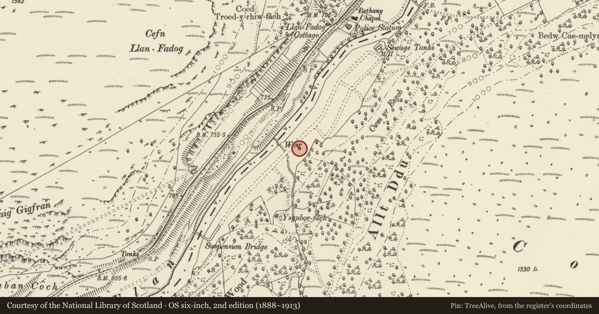 Ordnance Survey six-inch map, 2nd edition (1888–1913) covering the location of No 3, Rhayader, Powys, with a pin at the register's coordinates