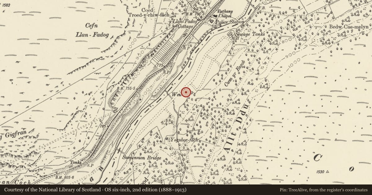 Ordnance Survey six-inch map, 2nd edition (1888–1913) covering the location of No 4, Rhayader, Powys, with a pin at the register's coordinates