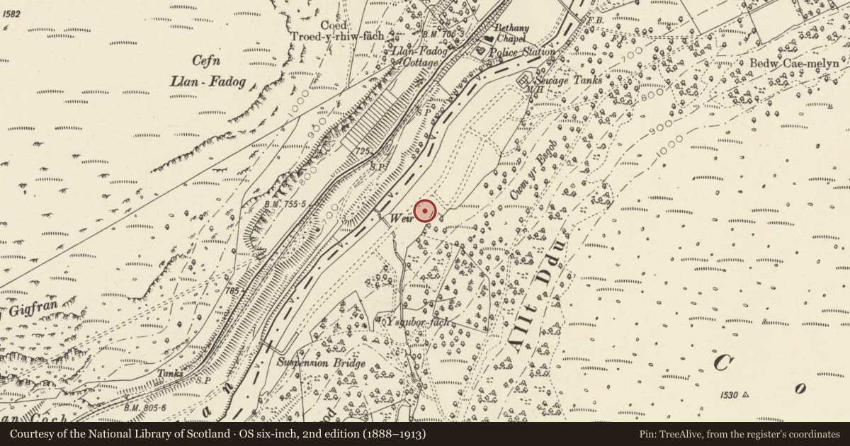 Ordnance Survey six-inch map, 2nd edition (1888–1913) covering the location of No 5, Rhayader, Powys, with a pin at the register's coordinates