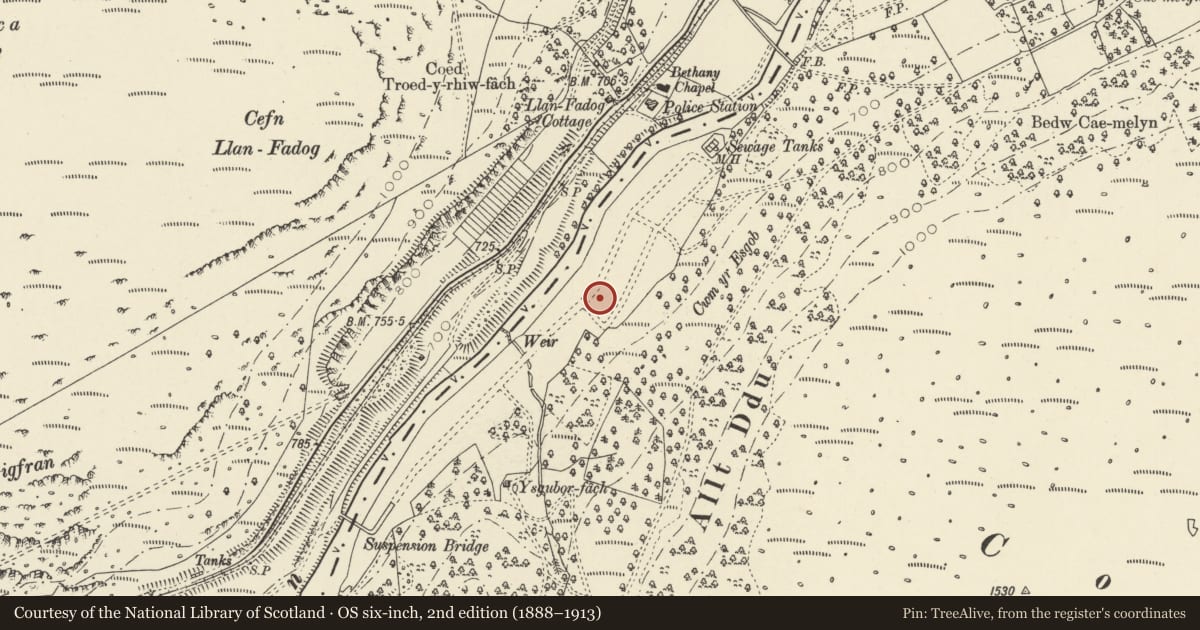 Ordnance Survey six-inch map, 2nd edition (1888–1913) covering the location of No 6, Rhayader, Powys, with a pin at the register's coordinates