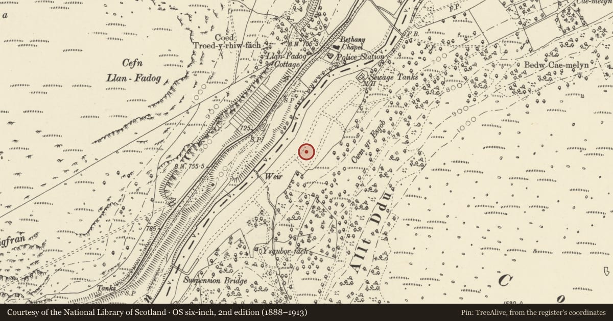 Ordnance Survey six-inch map, 2nd edition (1888–1913) covering the location of No 7, Rhayader, Powys, with a pin at the register's coordinates