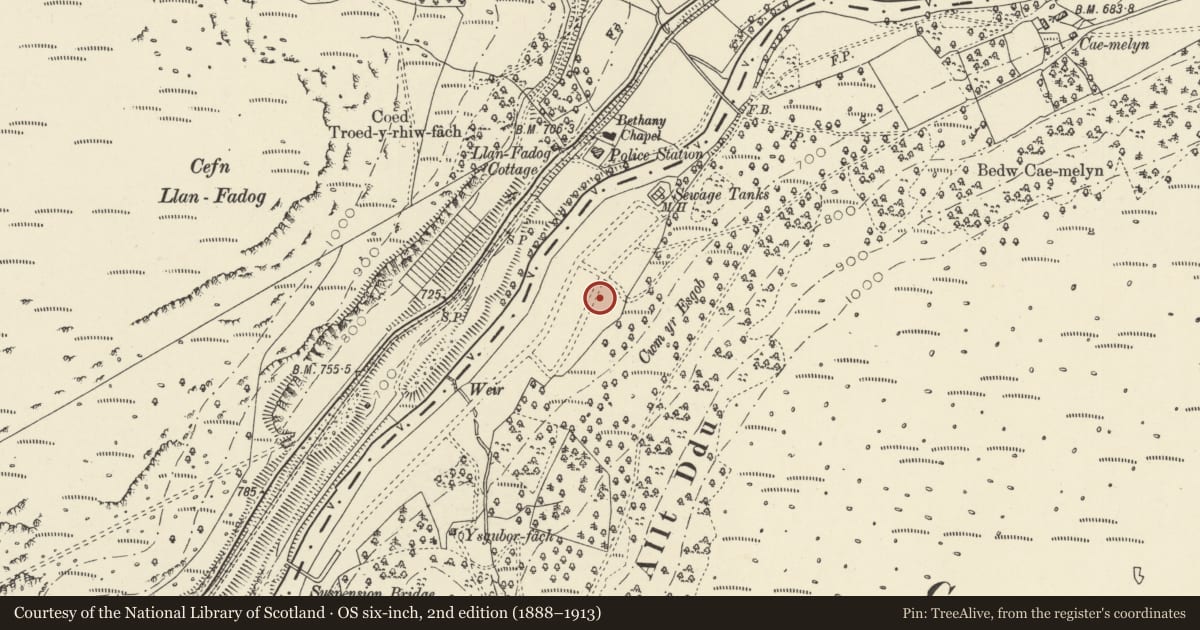 Ordnance Survey six-inch map, 2nd edition (1888–1913) covering the location of Elan Village, Rhayader, Powys, with a pin at the register's coordinates