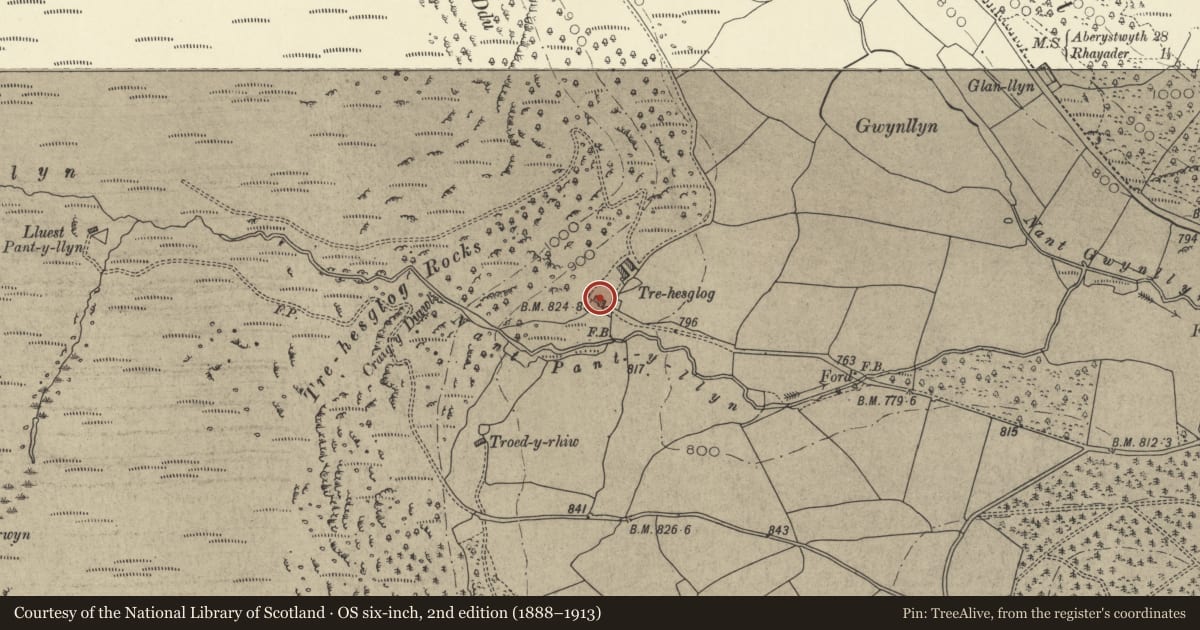 Ordnance Survey six-inch map, 2nd edition (1888–1913) covering the location of Treheslog Farmhouse, Rhayader, Powys, with a pin at the register's coordinates