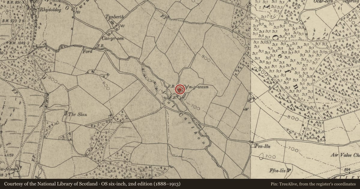 Ordnance Survey six-inch map, 2nd edition (1888–1913) covering the location of Tyn y Waun Farmhouse, Rhayader, Powys, with a pin at the register's coordinates