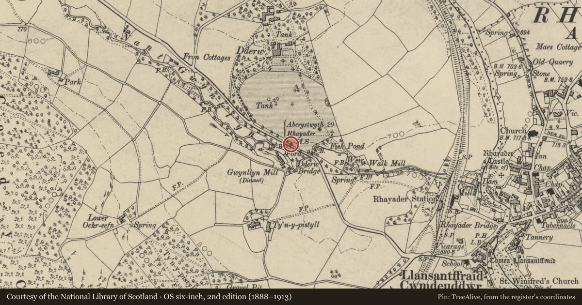 Ordnance Survey six-inch map, 2nd edition (1888–1913) covering the location of Milestone on Mountain Road to Aberystwyth, Rhayader, Powys, with a pin at the register's coordinates