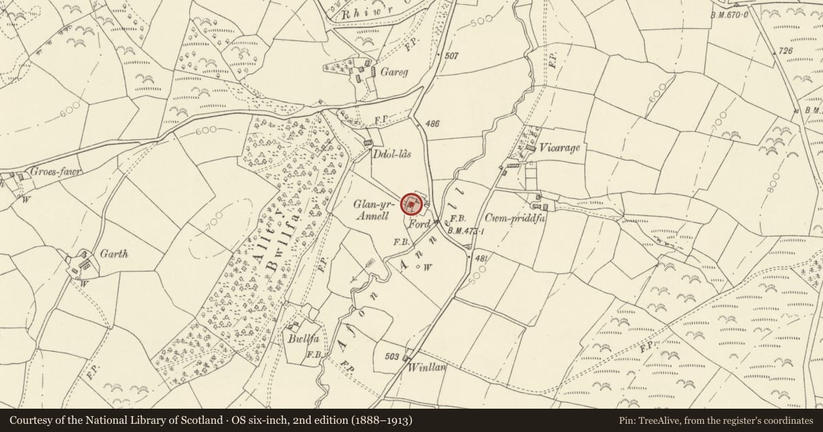 Ordnance Survey six-inch map, 2nd edition (1888–1913) covering the location of Glanyrannell, Cynwyl Gaeo, Carmarthenshire, with a pin at the register's coordinates