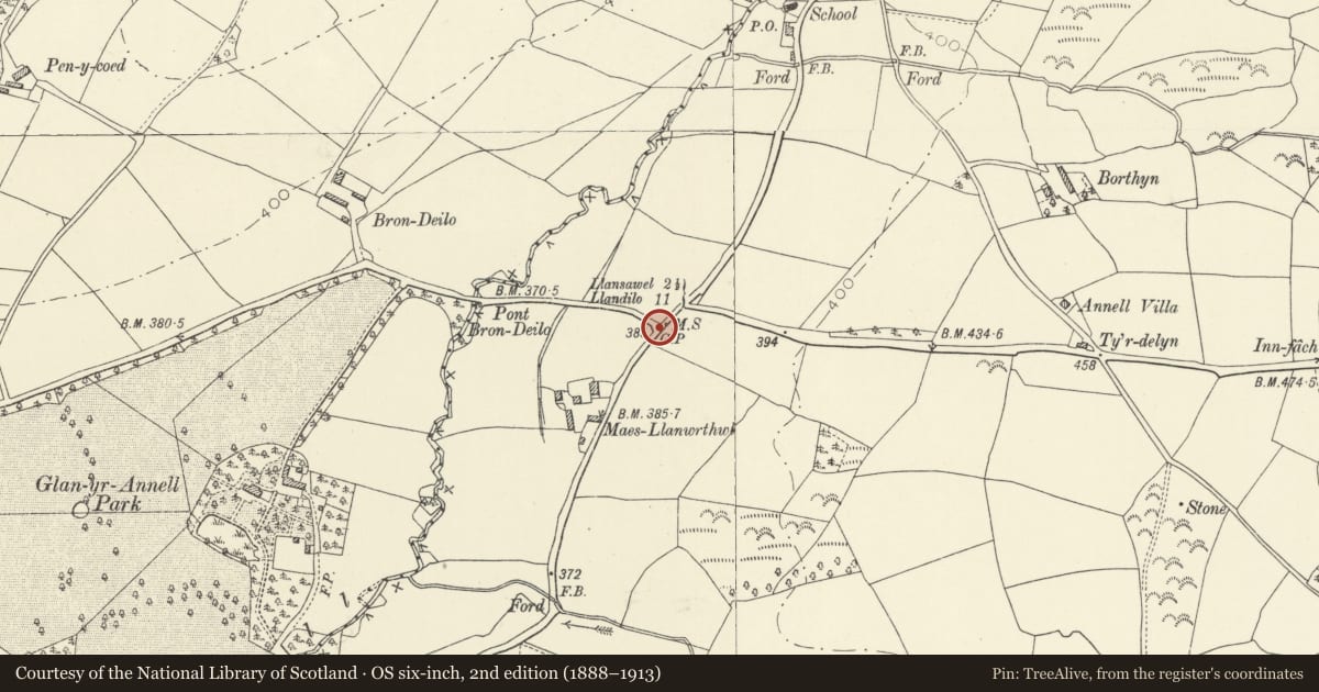 Ordnance Survey six-inch map, 2nd edition (1888–1913) covering the location of Milestone near Maesllanwrthwl, Cynwyl Gaeo, Carmarthenshire, with a pin at the register's coordinates