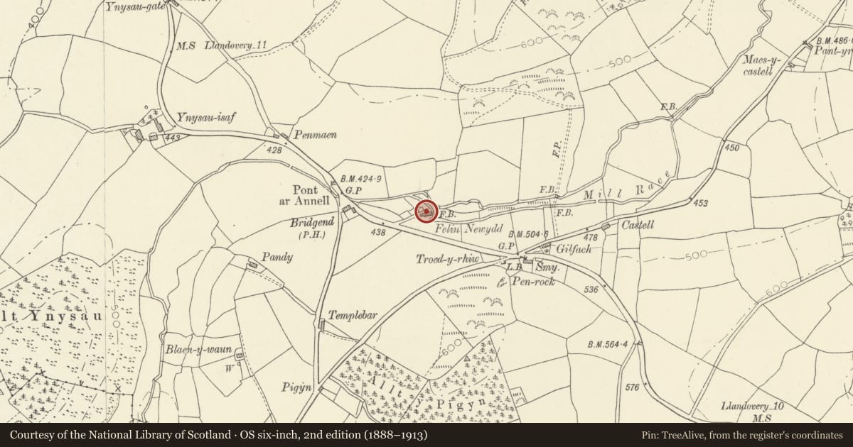 Ordnance Survey six-inch map, 2nd edition (1888–1913) covering the location of Felin Newydd, Cynwyl Gaeo, Carmarthenshire, with a pin at the register's coordinates