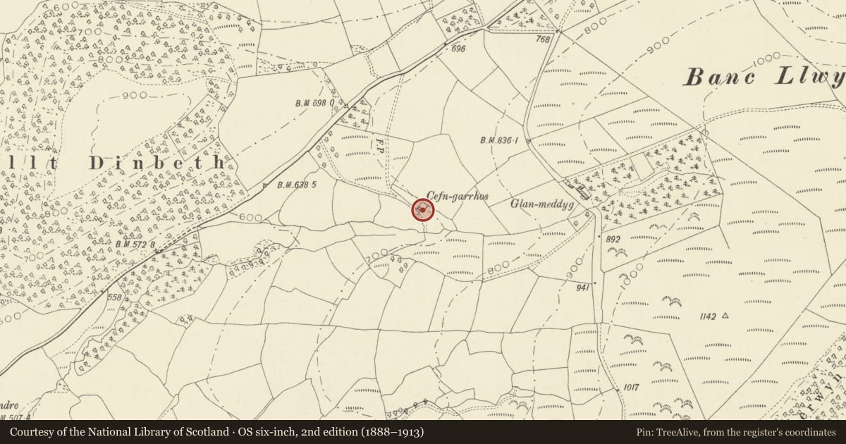 Ordnance Survey six-inch map, 2nd edition (1888–1913) covering the location of Cefngarros, Cynwyl Gaeo, Carmarthenshire, with a pin at the register's coordinates