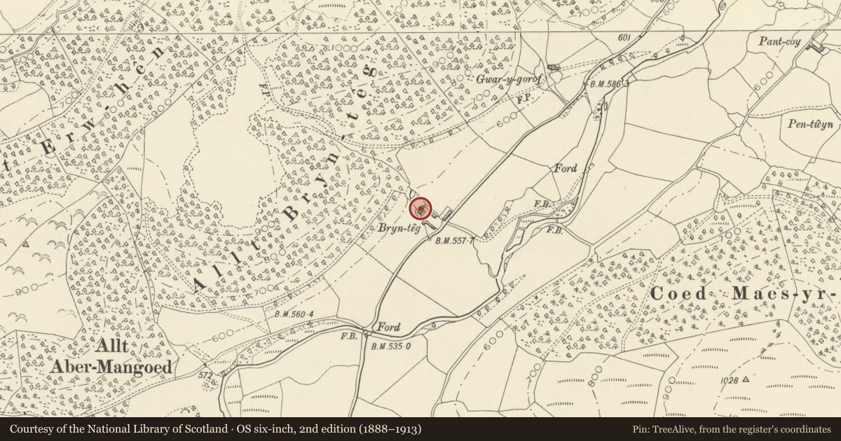 Ordnance Survey six-inch map, 2nd edition (1888–1913) covering the location of Brynteg, Cynwyl Gaeo, Carmarthenshire, with a pin at the register's coordinates