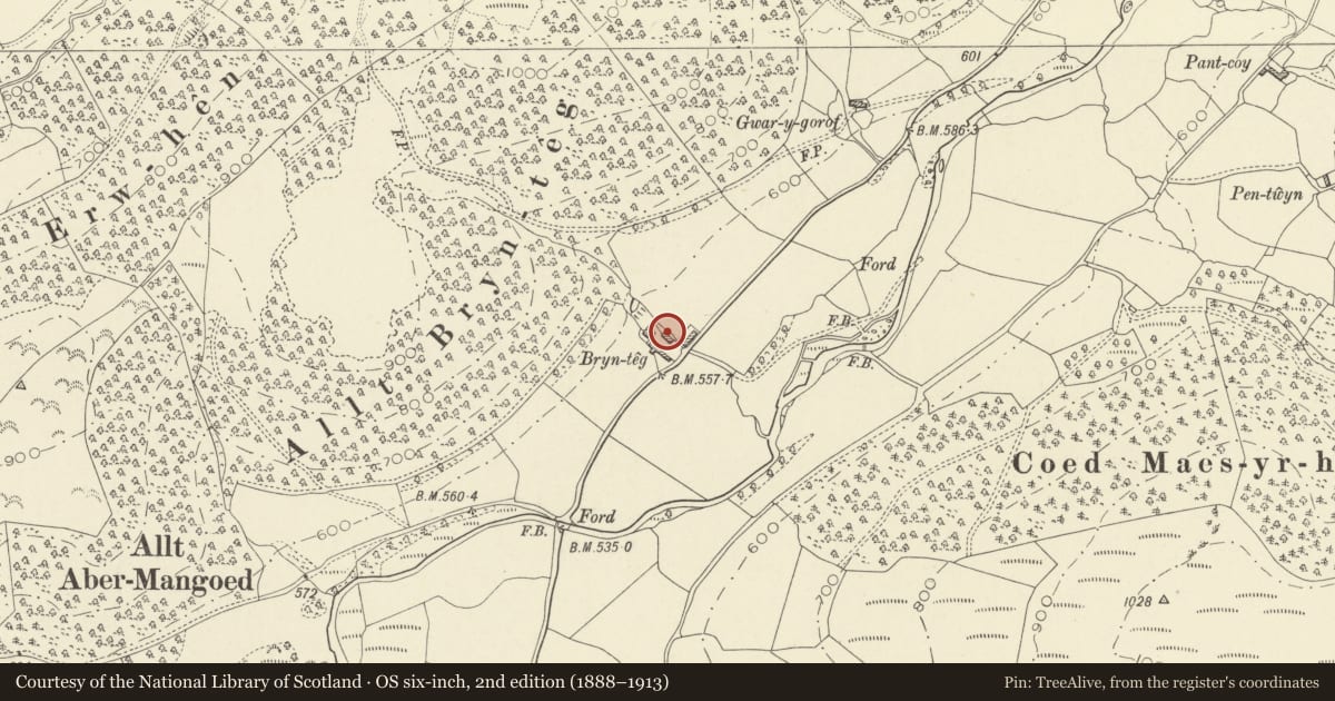 Ordnance Survey six-inch map, 2nd edition (1888–1913) covering the location of Barn Range at Brynteg, Cynwyl Gaeo, Carmarthenshire, with a pin at the register's coordinates